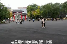 985大学（四川大学）视频封面