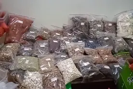 草乌，川乌，天南星这些药材都是好东西