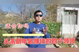 头条明年扶持的四个领域，如果你还看不懂，明年你可能将一无所获视频封面