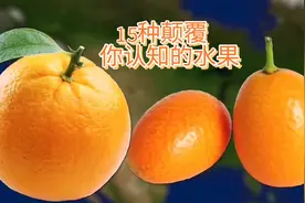 那些颠覆你认知的水果史。