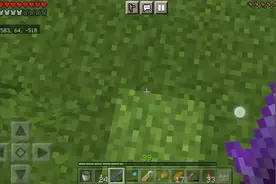 一只鸡竟然会有八条腿！（特性）视频封面