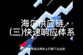 #海尔 #供应链 #物流 #供应商 #管理 #流程 #中视频伙伴计划#高效视频封面