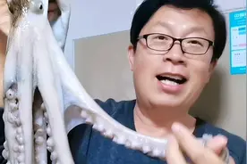 这种巨型八爪鱼你见过吗？吸盘吸住舌头拔不掉，看看海边人咋吃？