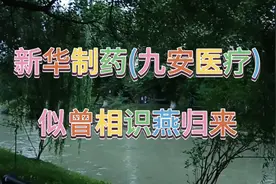 新华制药再点评(仅供参考)视频封面