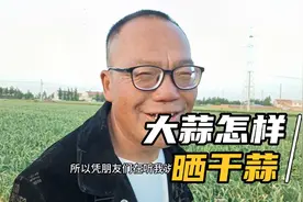 大蒜晒干蒜应该怎样晒，都有什么讲究，听老四怎么说的