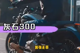 奔达灰石300太子，金吉拉小猫变大猫