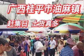 广西桂平油麻镇赶集日，人山人海土货也多，螃蟹10元一斤河蚌2元视频封面