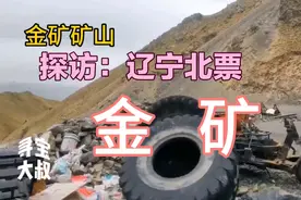 早期的国有金矿改制给私人老板后，现在会是什么状态？视频封面