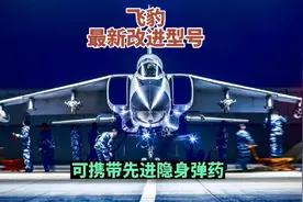 新升级飞豹不光航程远载弹量大，在掌握制空权后能发挥重要作用视频封面