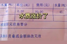 我们是哈尔滨管辖的郊区，水费已经涨到2块3一吨，电价会不会再涨视频封面