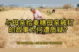 高密西北乡平安庄村否认“莫言与母亲拾麦穗”故事真实性视频封面