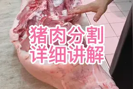 猪肉分割视频，详细讲解大全视频封面