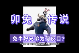 中国生肖传说第四位之卯兔-贪睡误事错失魁首视频封面