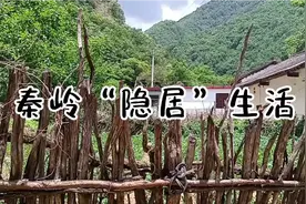 蓝田与柞水间的“秘密通道”——大香炉沟，路过别人的世外桃源…