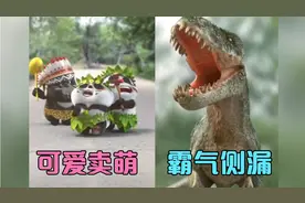 既可爱又萌的熊猫，遇上恐龙是什么体验！