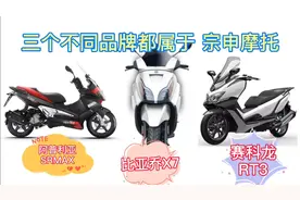 三个不同品牌都属于宗申旗下，厂家一发力占据大绵羊一半的市场。