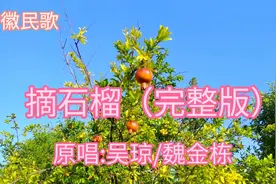 安徽民歌《摘石榴》原唱吴琼/魏金栋词曲优美动听哥哥墙外砸砖…