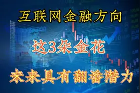 互联网金融迎来高光时刻，三朵金花股潜力无限，股价即将一飞冲天