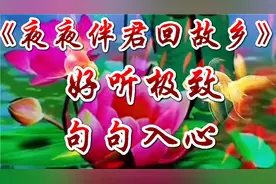甜妹紫烟一首《夜夜伴君回故乡》旋律优美，好听极致，句句入心。