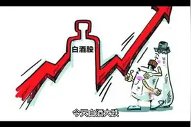 白酒暴跌的原因视频封面