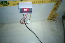 孵化小鸡第12天可以看到，鸡蛋里面的小鸡形成过程有血丝啦