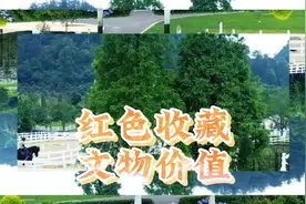 文4邮票一套全品价由3000元升到8000元，红色收藏，文物价值视频封面