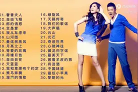 凤凰传奇30首歌曲合集，神曲的常青树。