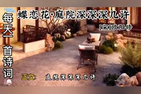 唐宋八大家欧阳修之《蝶恋花·庭院深深深几许》心灵与诗词的碰撞视频封面