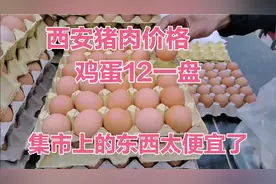 西安猪肉20一斤，鸡蛋12一盘，90后小夫妻直呼太便宜了，收获满满视频封面