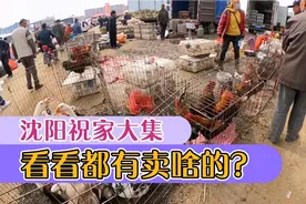沈阳祝家大集，每逢147号都有，十分热闹，不少人大老远开车来逛视频封面