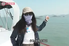 中华白海豚是香港回归吉祥物，一身粉红色，是香港水域独有品种视频封面