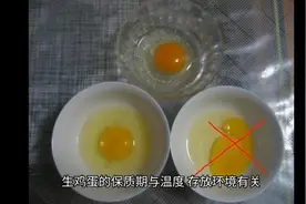 鸡蛋的保质期是多久？我们如何判断鸡蛋是否变质呢？视频封面