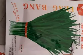 从中国带过来的种子！种在非洲大地上看怎么样了视频封面