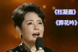 《红楼梦》插曲《枉凝眉》《葬花吟》～～陈力原唱，深情婉转