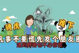 这个故事高告诉我们，老虎的屁股虽然摸不到，但可以骑老虎啊。