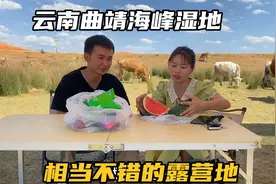 打卡云南曲靖海峰湿地，休闲露营的绝佳去处，60公里路没白开视频封面