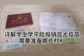 学生学平险报销狂犬疫苗需要准备哪些材料视频封面