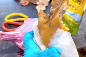 揭秘海蛎子养殖过程#大海的馈赠 #生蚝