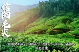 文新茶叶~信阳毛尖原产地老字号品牌视频封面