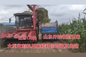 山东开始收割玉米了，大型收割机玉米秸秆同时收，看看先进不视频封面