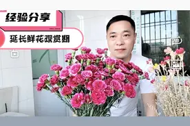 往水里加样东西，保证你家瓶插的鲜花可延长15天观赏期