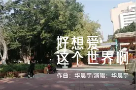 拆除围墙后的金砂公园视频封面
