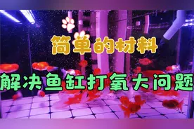 怎样利用水泵给鱼缸打氧，简单的材料解决大问题，效果出奇的好！