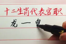 十二生肖代表视频封面