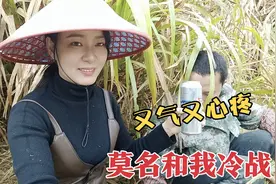 夫妻冷战，媳妇偷偷上山给他送啤酒！看他干活的样子又气又心酸视频封面