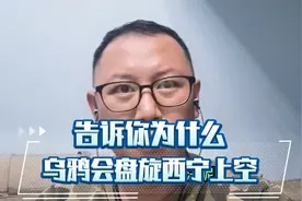 告诉你成群乌鸦盘旋城市上空的原因