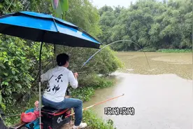 下雨天钓鱼太过瘾了，鱼口又好力气也大，感觉人都要下去的样子！视频封面