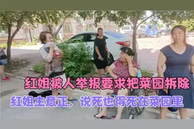 红姐被人举报，街道要求把他家菜园扒除，他却横不讲理，死在菜园