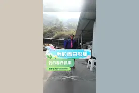 我的快手春日影集分享给朋友们。视频封面