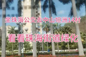珠海去中山坦洲14村，坐公交看看珠海街道绿化
